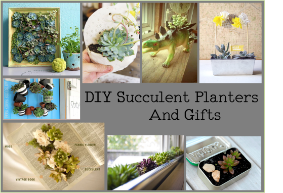 DIY succulent planters and gifts